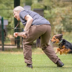 Hundemarie_Köln