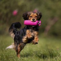 Yuma_Dummy_in_Pink
