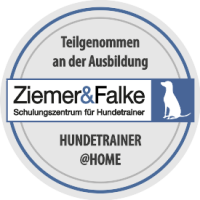 ausbildungssiegel-hth_275